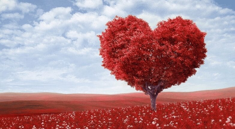 Love yourself